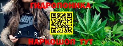 молекула духа Кандалакша