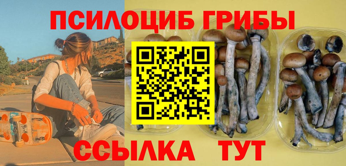 Красноярск  Псилоцибиновые грибы Psilocybine cubensis  Вход с VPN 