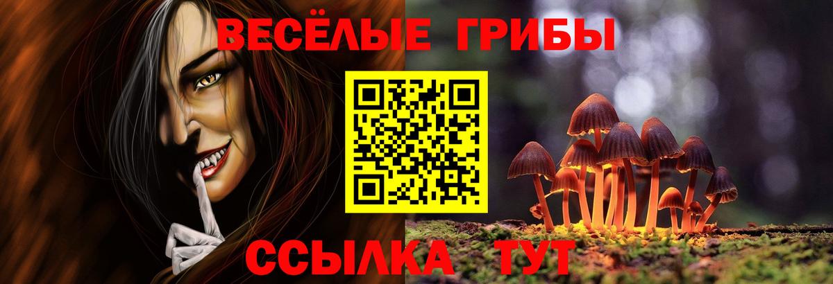 Псилоцибиновые грибы мухоморы Красноярск